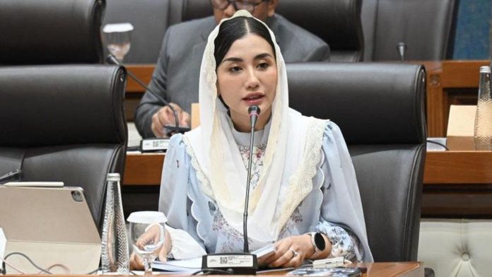 Politikus PDIP Tak Sudi Tambang Nikel di Raja Ampat: Jangan Kompromi