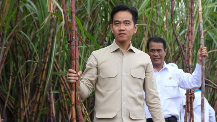 Apa Saja Persoalan yang Mesti Dibenahi Gibran di Papua?