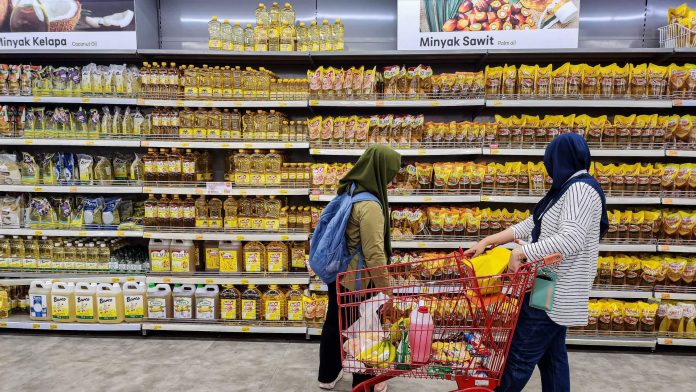 Koperasi Masuk Bisnis Sawit, Bakal Saingi Dominasi Korporasi?