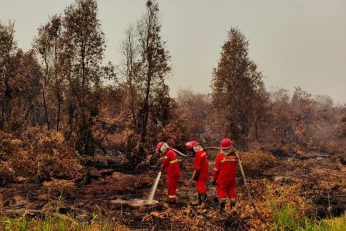 Karhutla Kalimantan Meluas, Pemerintah Perkuat Operasi Terpadu